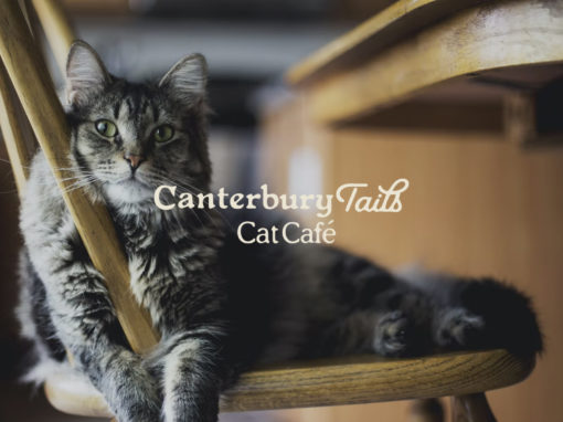 Canterbury Tails